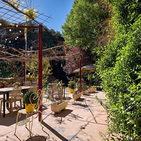 B&B Mas Torrencito Pet Friendly Parets de Ampurda Luaran gambar
